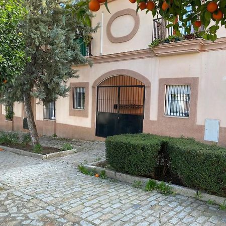 Sevilla. Gerena Casa Rural Para Familia O Profesionales Zewnętrze zdjęcie