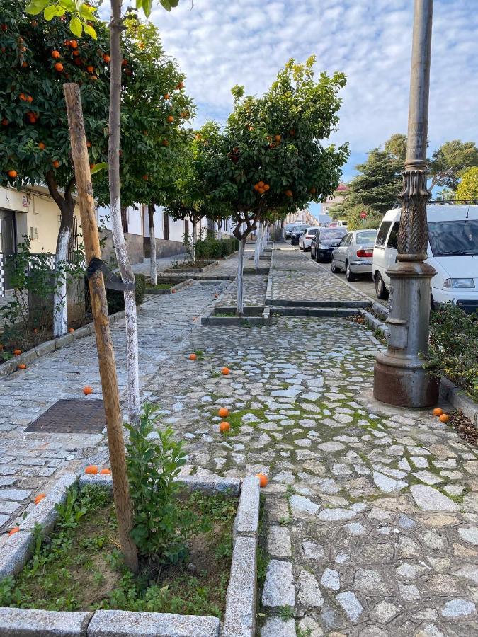 Sevilla. Gerena Casa Rural Para Familia O Profesionales Zewnętrze zdjęcie